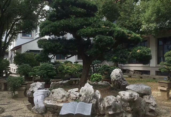 静思园第 29 张图片