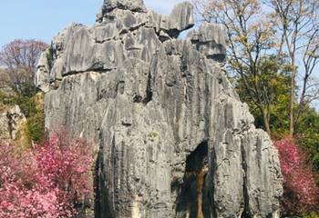 滇池第 99 张图片
