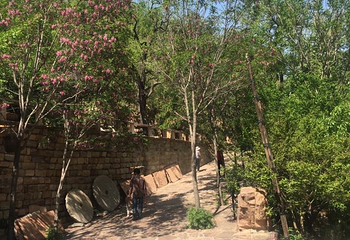 十六沟风景旅游区第 22 张图片