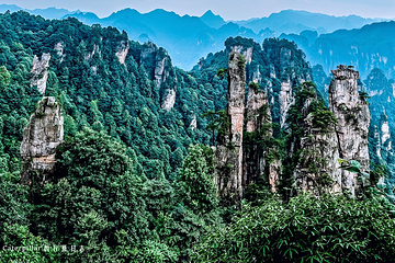 天子山风景区第 77 张图片