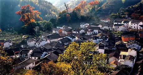 黑河国家森林公园第 22 张图片