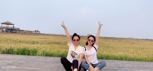 红海滩国家风景廊道第 81 张图片