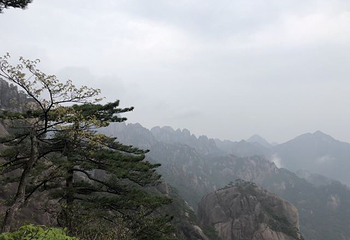 黄山门第 15 张图片
