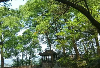 黑石山第 11 张图片