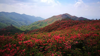 大围山国家森林公园第 70 张图片