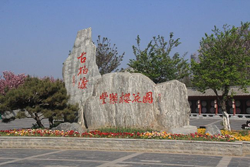 古柏渡丰乐樱花园第 16 张图片