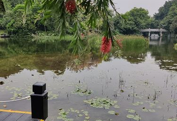海珠国家湿地公园第 39 张图片