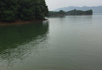 陆水湖风景区第 58 张图片