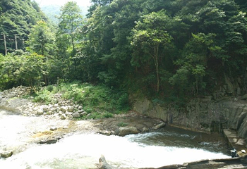 东安舜皇山国家森林公园第 24 张图片