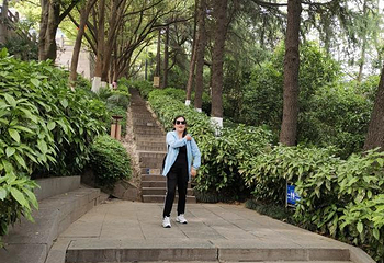 阅江楼第 81 张图片