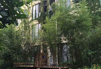 老木棉紫园第 35 张图片