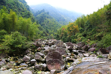 桂林猫儿山第 48 张图片