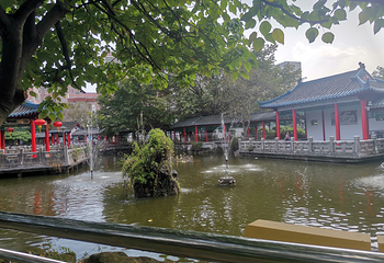 龙岗龙园第 20 张图片
