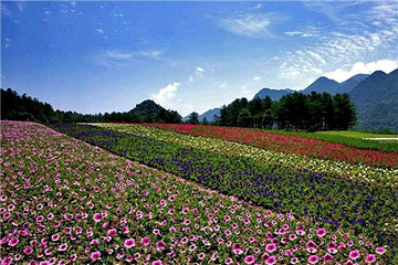 红池坝风景区第 26 张图片