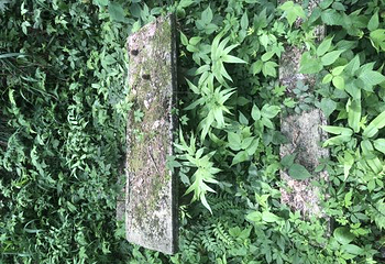 波尔登森林公园第 28 张图片