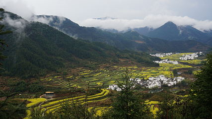 江岭景区第 28 张图片