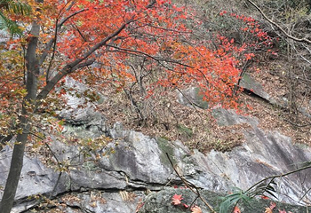 黄柏山国家森林公园第 34 张图片