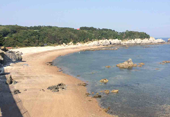 金沙滩海滨浴场第 17 张图片