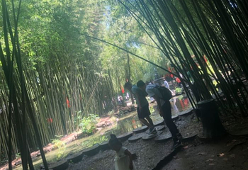 红石寨旅游度假区第 22 张图片