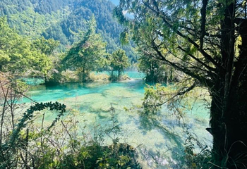 镰刀坝大草原第 4 张图片