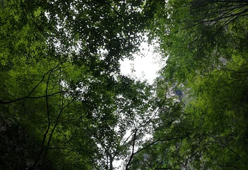 天子山第 23 张图片