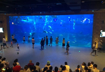 重庆汉海海洋公园第 73 张图片