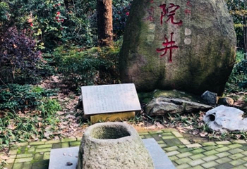 八一公园第 16 张图片