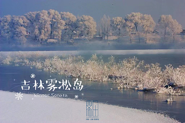 雾凇岛第 20 张图片