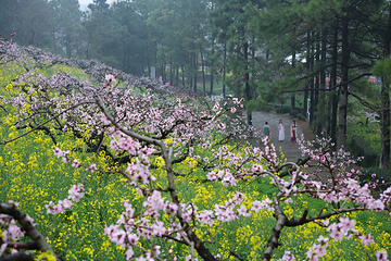 长兴城山沟景区第 66 张图片