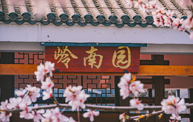 唐山南湖开滦旅游景区第 31 张图片