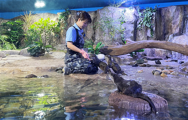 釜山SEA LIFE水族馆第 16 张图片