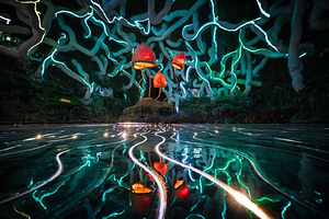 “唤醒老虎”游乐场沉浸式体验