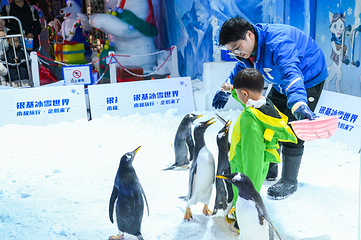 郑州银基冰雪世界第 56 张图片