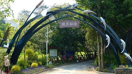 千岛湖揽月秘境第 8 张图片