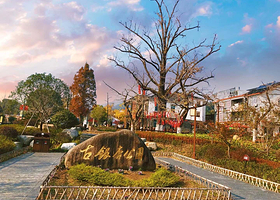 十里古银杏长廊景区