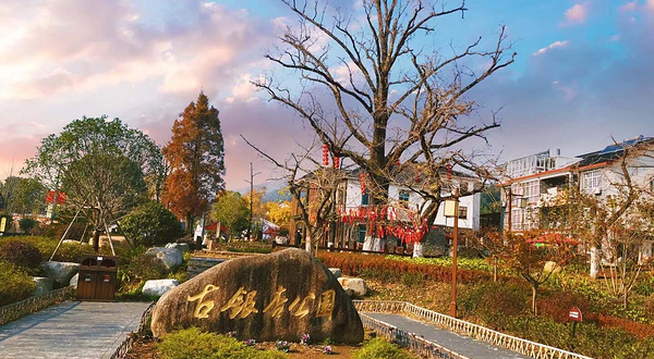 十里古银杏长廊景区