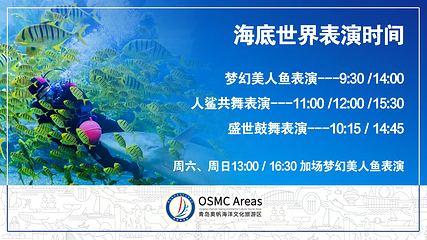 青岛海底世界第 2 张图片