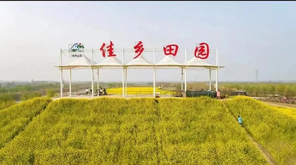 佳乡田园采摘园第 1 张图片
