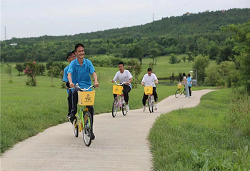 泰生小镇旅游景区第 72 张图片