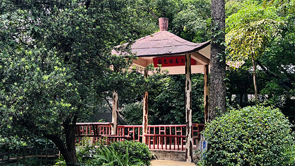 广州兰圃第 27 张图片