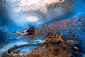 海洋欢乐世界潜水中心