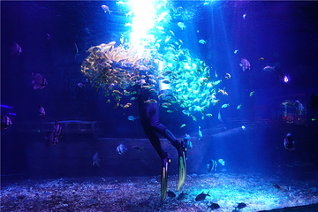 海昌海洋馆第 39 张图片