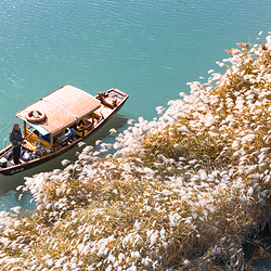 西溪国家湿地公园