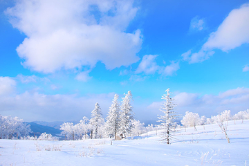 雪乡狗熊岭景区第 21 张图片