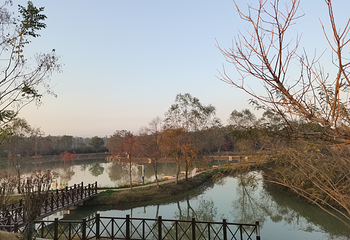 向阳湖湿地•音乐湖畔第 4 张图片