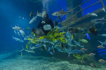 福州罗源湾海洋世界旅游区第 58 张图片
