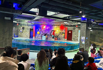 名仕海洋公园第 5 张图片