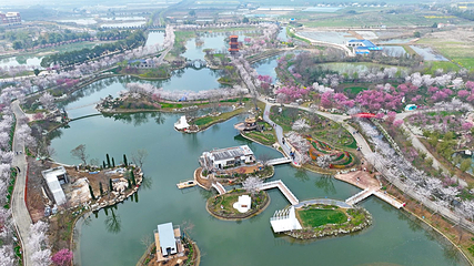 紫薇都市田园第 56 张图片