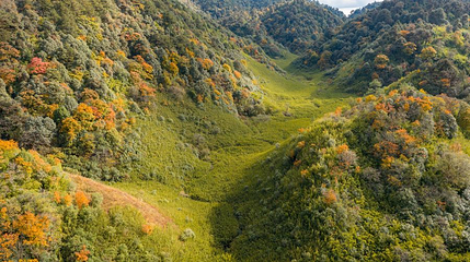 高黎贡山粉竹坝第 1 张图片