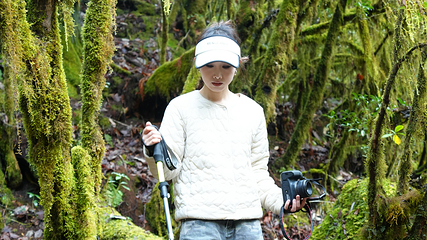 高黎贡山南段西支线毛毛球原始森林第 6 张图片